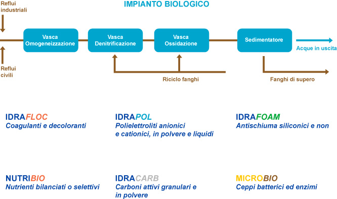 acque biologico